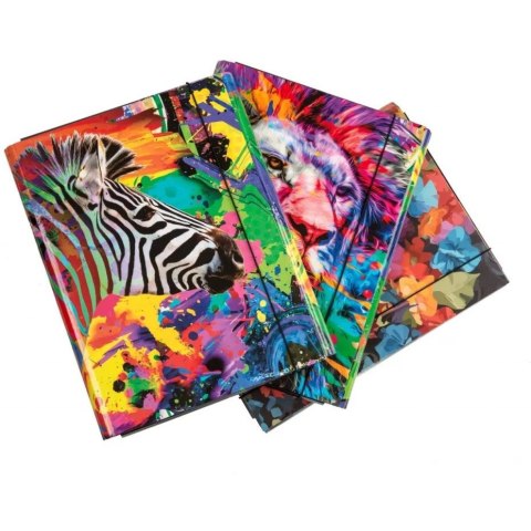 Teczka skrzydłowa z gumką LEW 4cm kolekcja AFRYKA 310/97 VAUPE