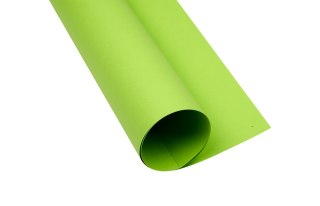 Blok karton kolorowy CREATINIO A1 160g 25 arkuszy nr.66 jasny zielony 400149557 TOP 2000
