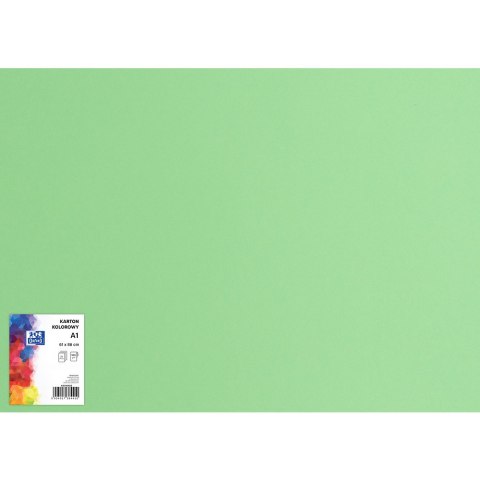 Blok karton kolorowy CREATINIO A1 160g 25 arkuszy nr.69 zielony 400149556 TOP 2000