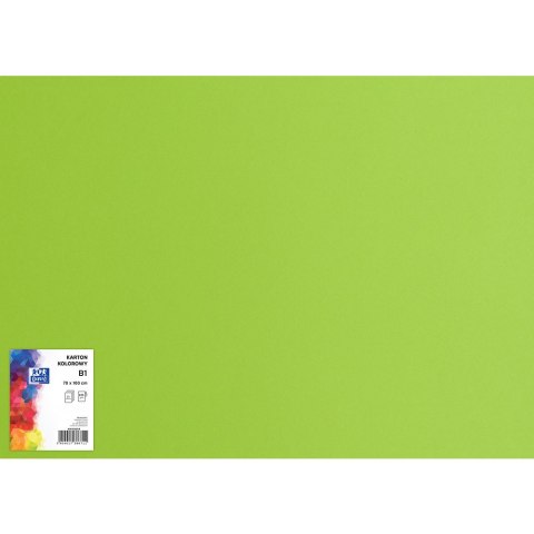 Blok karton kolorowy CREATINIO B1 225g 25 arkuszy nr. jasny zielony 400150267 TOP 2000