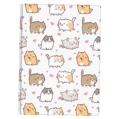 Notes A6 z nadrukiem KITTENS NNO-20-35 BIURFOL
