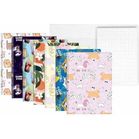 Notes A6 z nadrukiem MIX (10szt) NNO-20-MIX BIURFOL