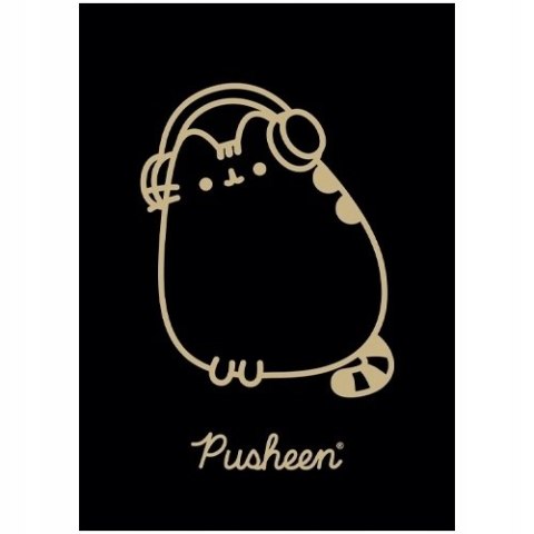 Zeszyt szkolny A5 60 kartek w kratkę laminowany PUSHEEN ST.MAJEWSKI