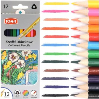 Kredki ołówkowe trójkątne 12 kolorów TO-544 TOMA