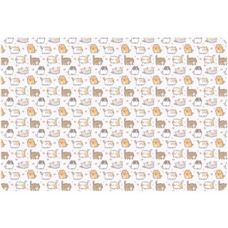 Podkładka do prac plastycznych A4 PP z nadrukiem KITTENS PSN-A4-35 BIURFOL