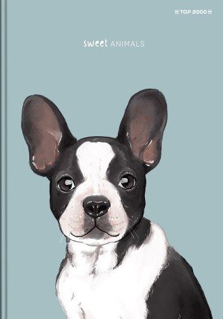 Zeszyt szkolny A5 Brulion 96 kartek w linię z marginesem SWEET ANIMAL 70g 400169480 TOP 2000