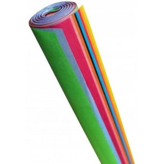 Bibuła w rolce mała gładka mix 12 arkuszy 38x50cm (5 rolek) BID-3850 ALIGA