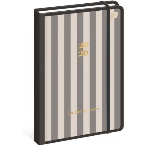 Kalendarz książkowy B5 192 Metallic Stripes INTERDRUK