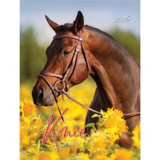Kalendarz ścienny mały KONIE KSM-S-5 AVANTI