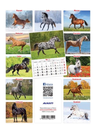 Kalendarz ścienny mały KONIE KSM-S-5 AVANTI