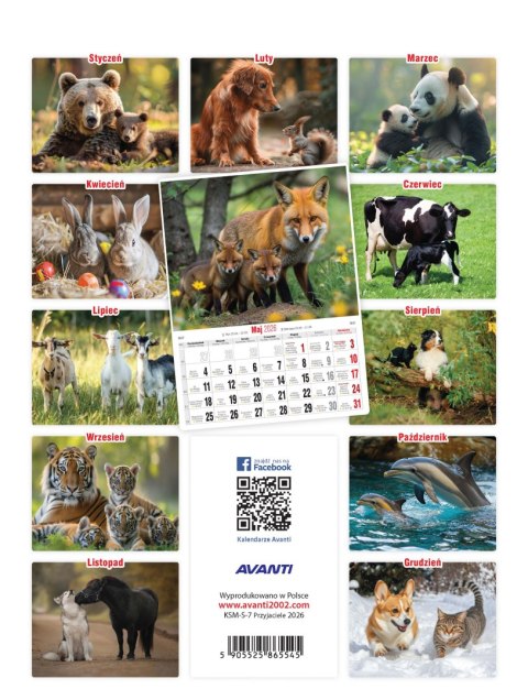 Kalendarz ścienny mały PRZYJACIELE KSM-S-7 AVANTI
