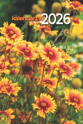 Kalendarz zdzierak 75x110mm KZ-L AVANTI