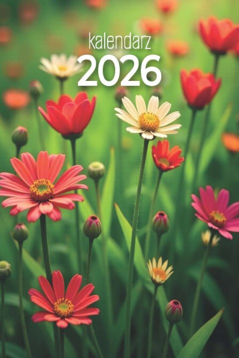 Kalendarz zdzierak 75x110mm KZ-L AVANTI