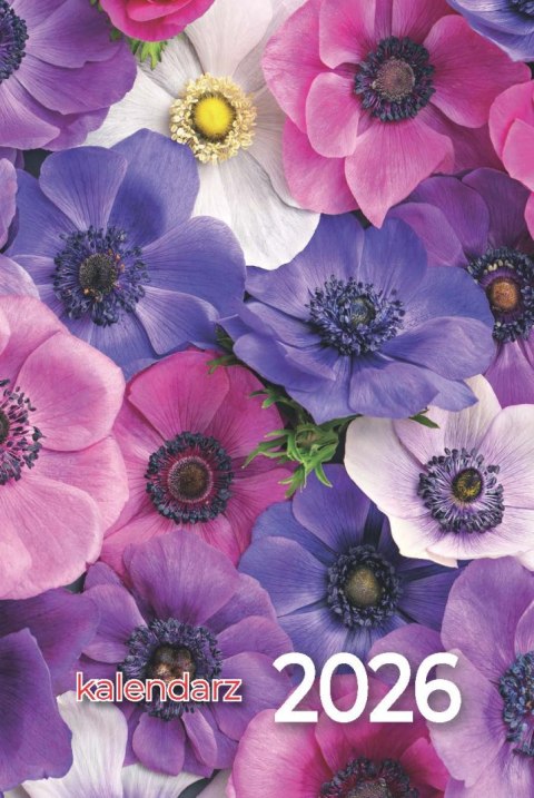 Kalendarz zdzierak 75x110mm KZ-L AVANTI