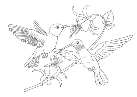 Kolorowanki A4, galeria 2 GAL-002