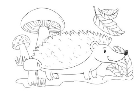 Kolorowanki B5, galeria 8 GAL-106