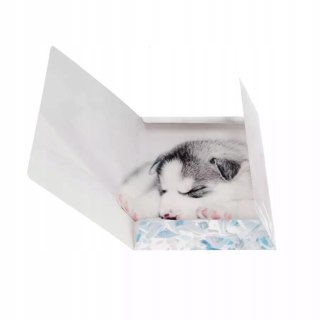 Teczka z gumką A4 PIESKI 559719 STARPAK