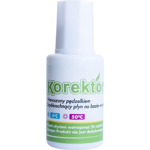 Korektor w butelce z pędzelkiem 20g BK110-AP TETIS