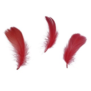 Piórka Craft-Fun Series czerwone 414324 TITANUM