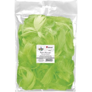 Piórka Craft-Fun Series limonka 414326 TITANUM