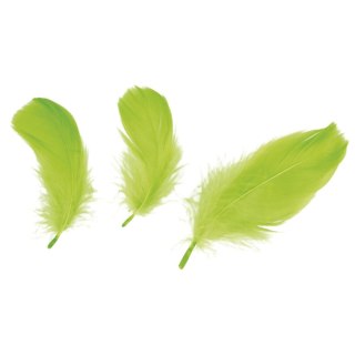 Piórka Craft-Fun Series limonka 414326 TITANUM