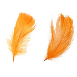 Piórka Craft-Fun Series pomarańczowy 438836 TITANUM