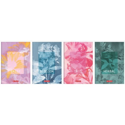 Brulion A5 96k kratka z marginesem BLOSSOM 400206436 HERLITZ