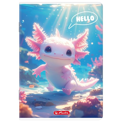 Zeszyt A4 32k linia podwójna kolorowa mix 400206361 HERLITZ