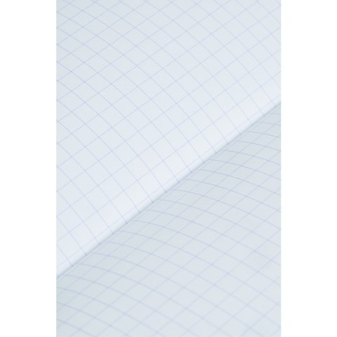 Zeszyt A4 60k kratka margines ESSE czarny 400192074 OXFORD