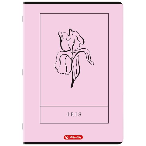 Zeszyt A4 80k kratka z marginesem mix 400206367 HERLITZ