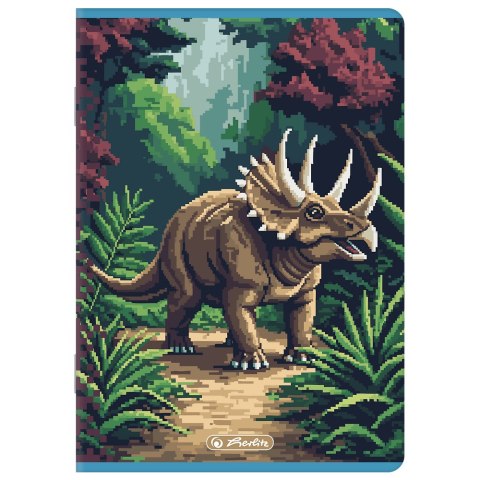 Zeszyt A5 16k linia podwójna kolorowa PIXEL FUN chłopięcy 400207498 HERLITZ