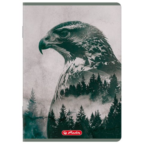 Zeszyt A5 60k kratka z marginesem WILD 400206388 HERLITZ