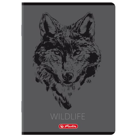 Zeszyt A5 80k kratka z marginesem mix 400206357 HERLITZ