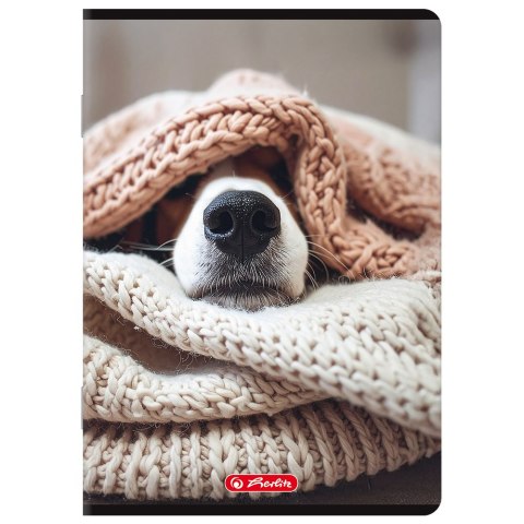 Zeszyt A5 80k kratka z marginesem mix 400206357 HERLITZ