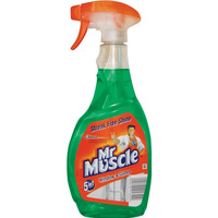 Pyn spray do szyb MR MUSCLE 500ml zielony